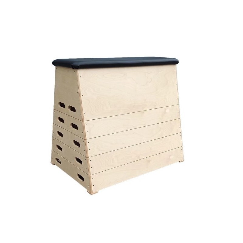 Lada de gimnastica trapezoidala 5 module