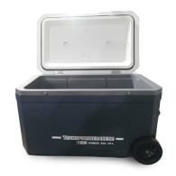 Ladă Frigorifică T-PRO XXL 70L | Mobilă cu Roți pentru Sport