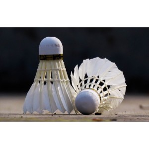 BADMINTON