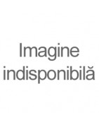 Toamnă-Iarnă