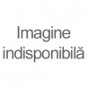 SPONETA